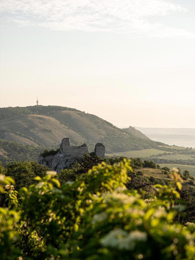 Bed and Breakfast Marinada Vinicni Dum Pavlov Zewnętrze zdjęcie