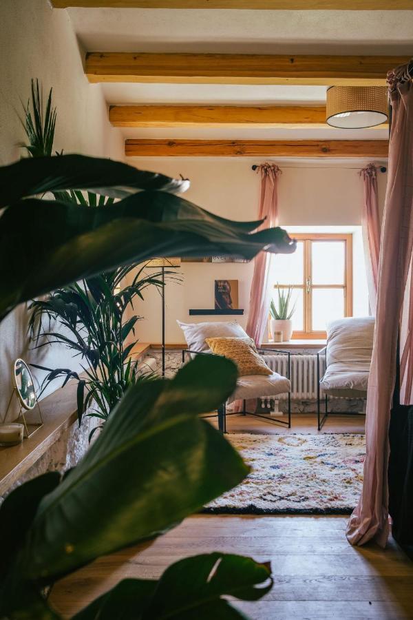 Bed and Breakfast Marinada Vinicni Dum Pavlov Zewnętrze zdjęcie