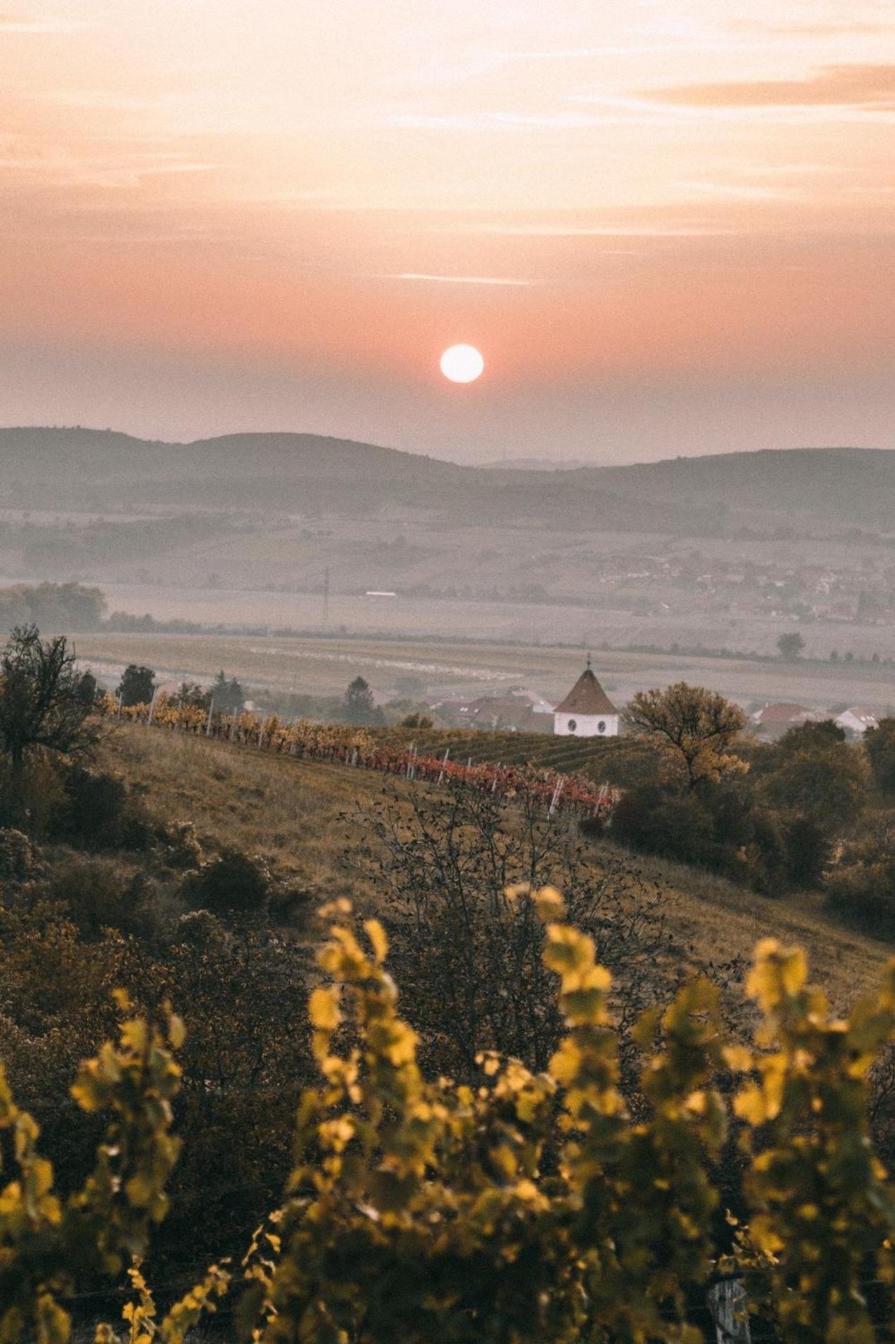 Bed and Breakfast Marinada Vinicni Dum Pavlov Zewnętrze zdjęcie