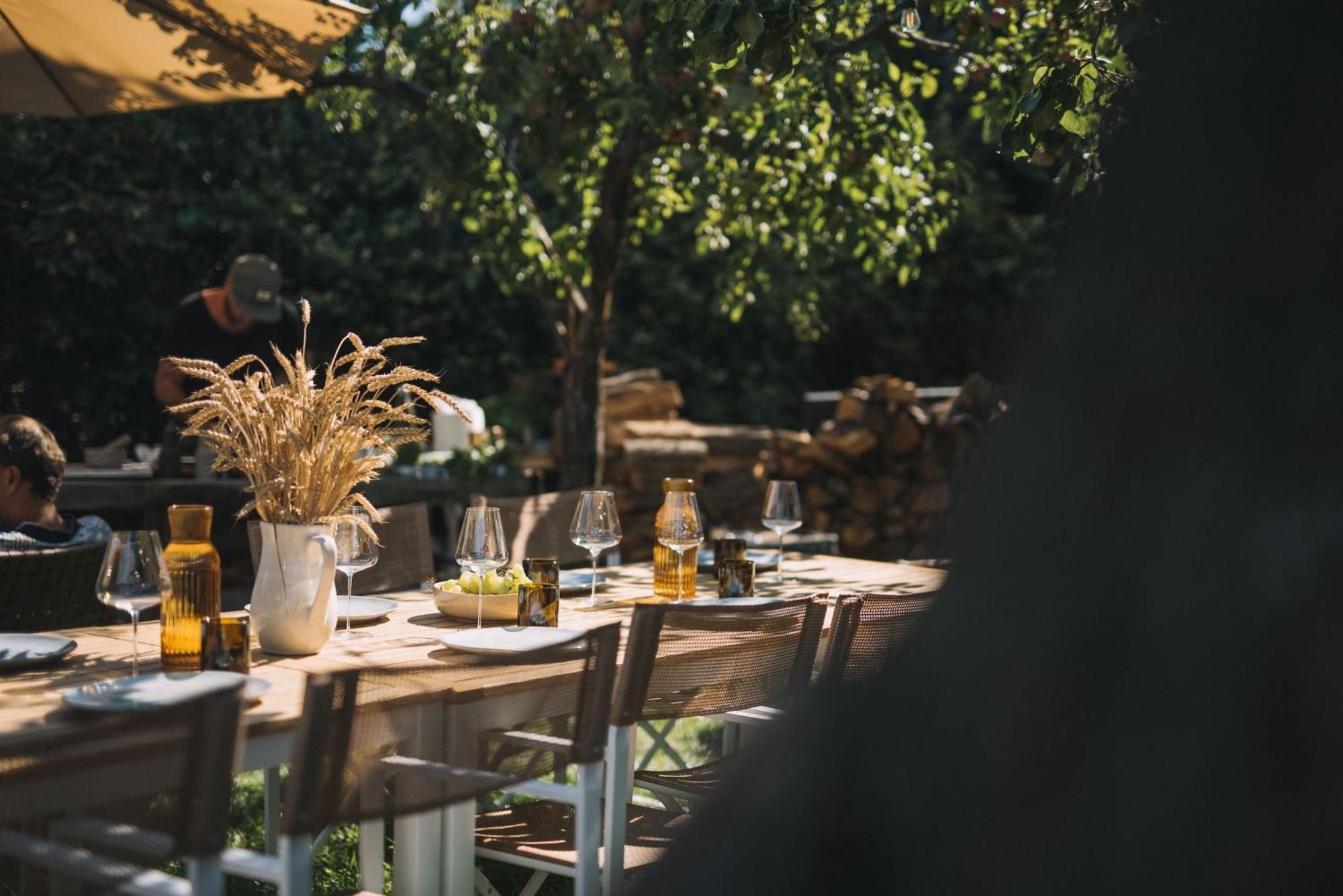 Bed and Breakfast Marinada Vinicni Dum Pavlov Zewnętrze zdjęcie