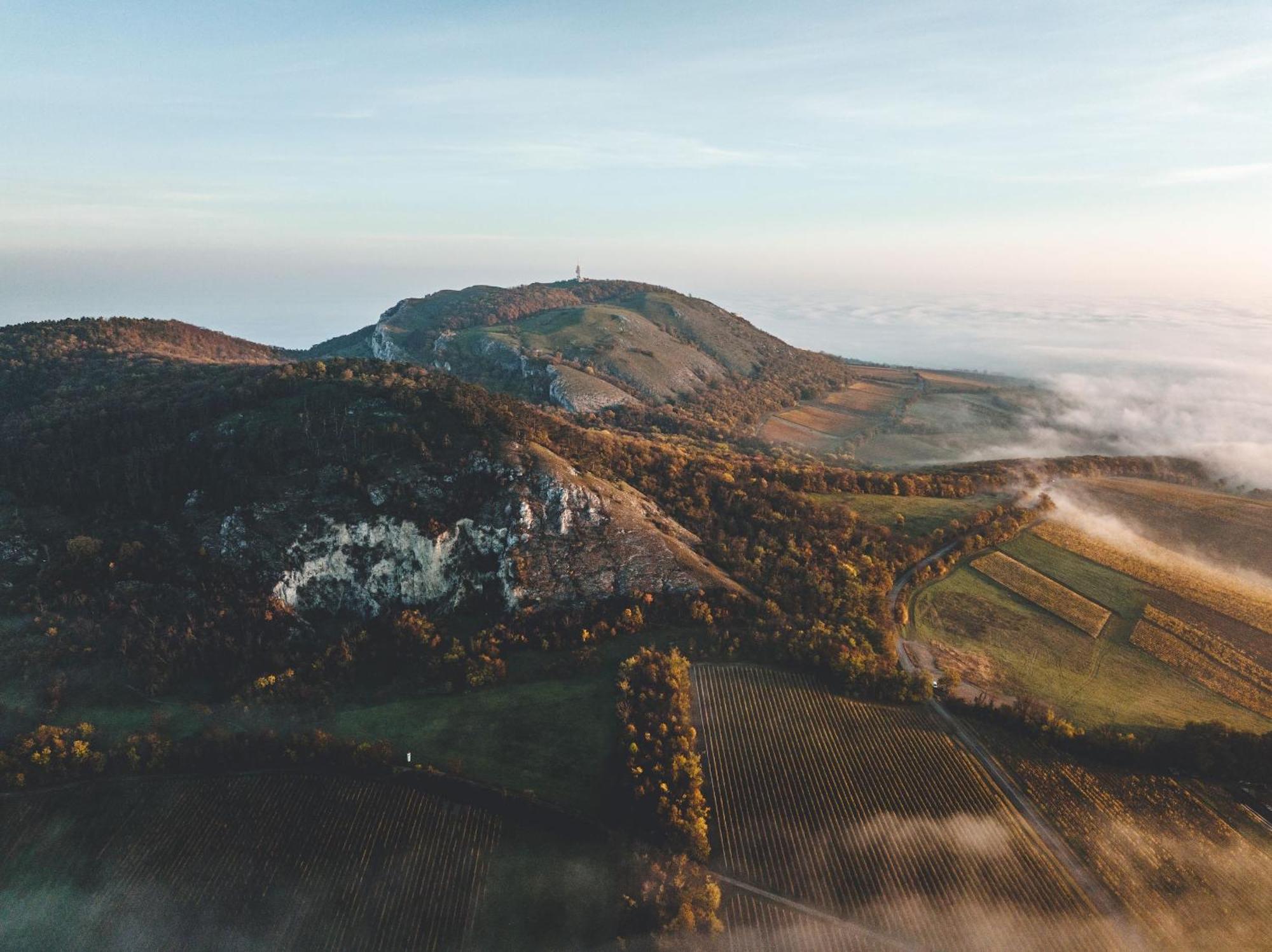 Bed and Breakfast Marinada Vinicni Dum Pavlov Zewnętrze zdjęcie